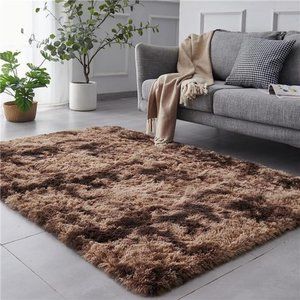Shaggy Tie-Dyed Coffee Rug, 2x3 Area Rugs for Living Room, Anti-Skid Extra Comfy